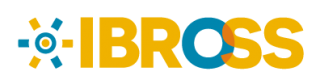 IBROSS